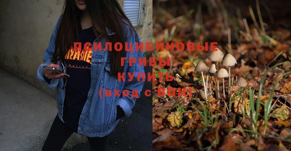 mix Аркадак
