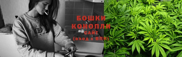 ешки Арсеньев