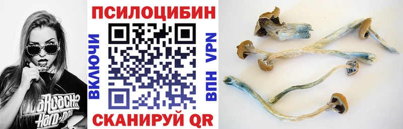 где можно купить наркотик  сайты даркнета официальный сайт  Галлюциногенные грибы ЛСД  Ревда 